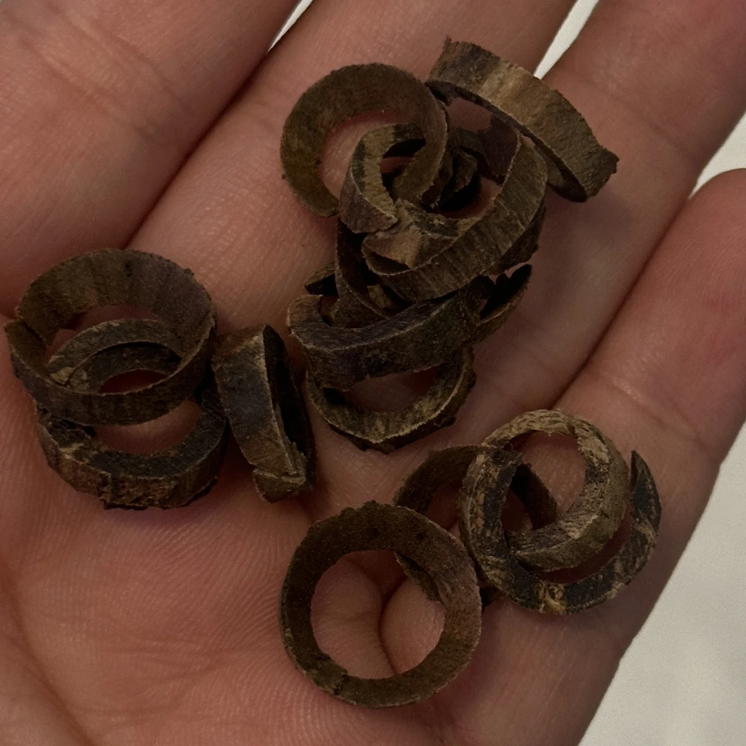 文莱沉水熏香材料1克装