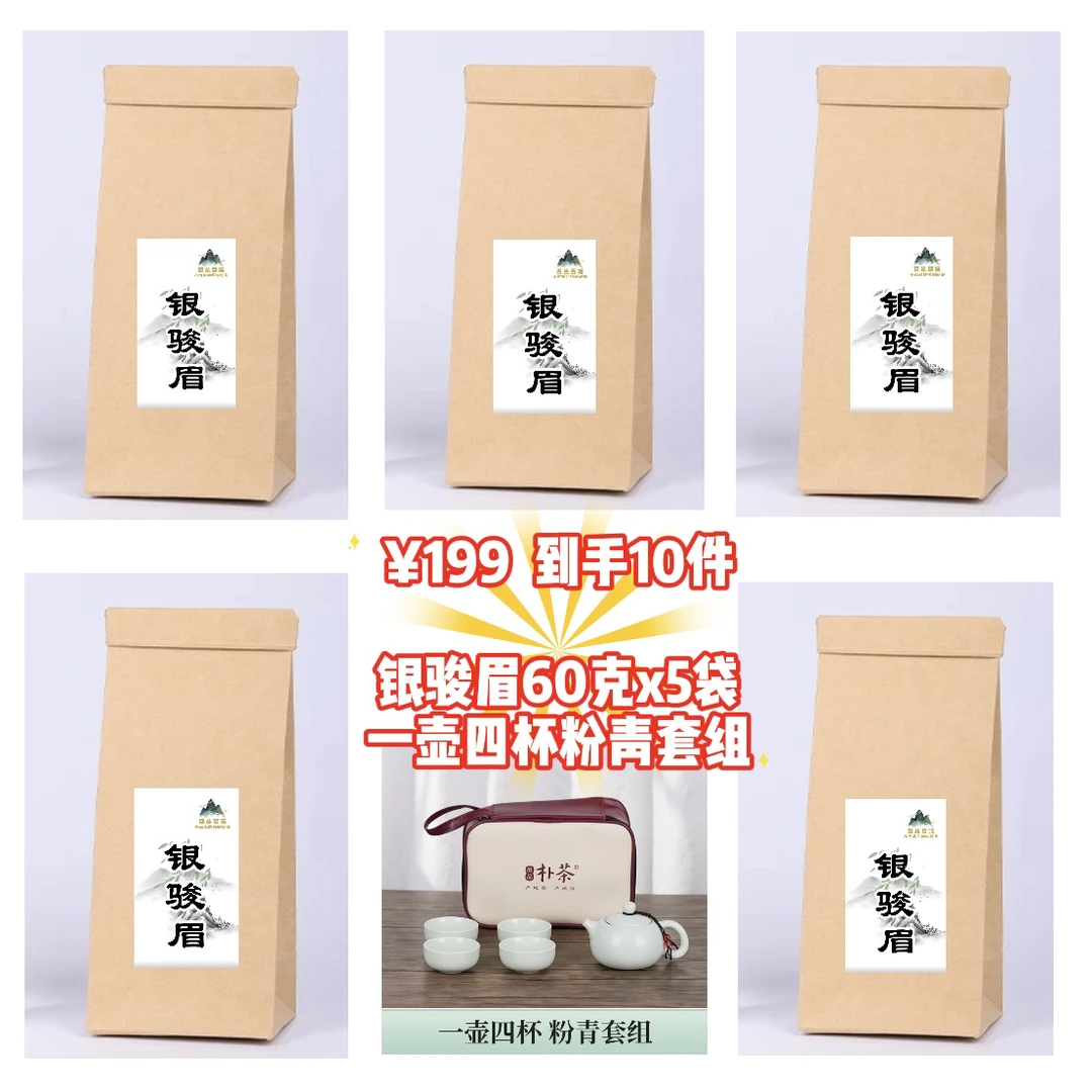 百丛百味 武夷红茶银骏眉一芽一叶花果蜜香绵柔60克*5袋➕一壶四杯