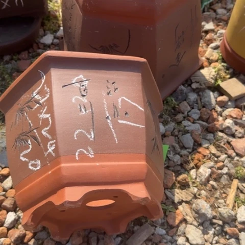 紫砂花盆紫砂花盆盆景盆栽