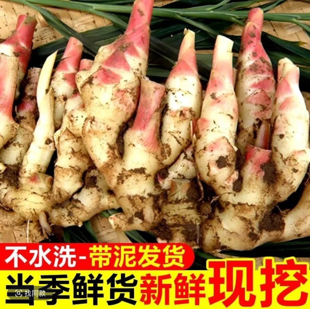 新鲜现挖临泉虎头姜生姜农家自种可腌制炒菜煲汤