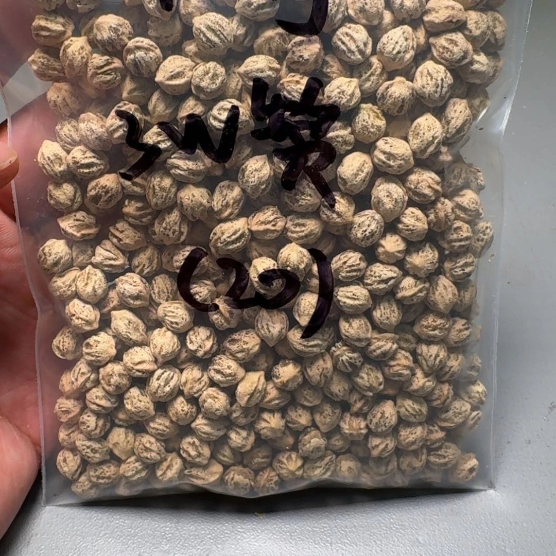 吊坠柏香籽/百香籽?*山