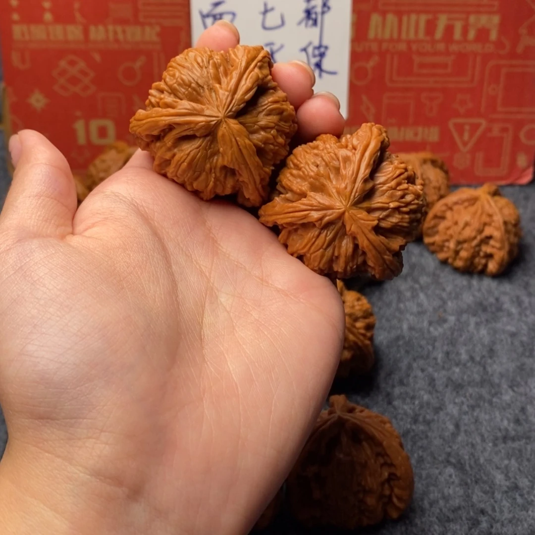 【闪购商品】凌*白狮子11111