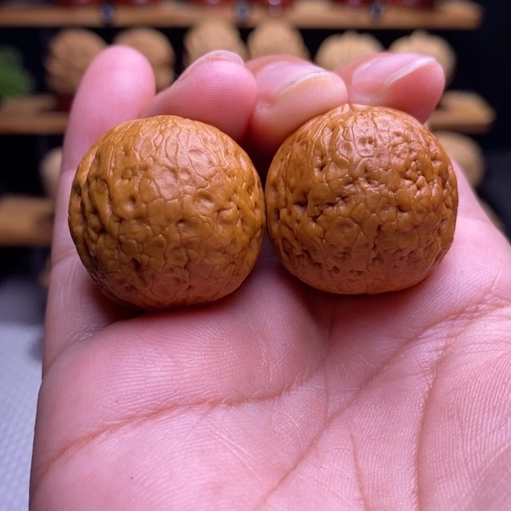 木质类云铁龙珠26号