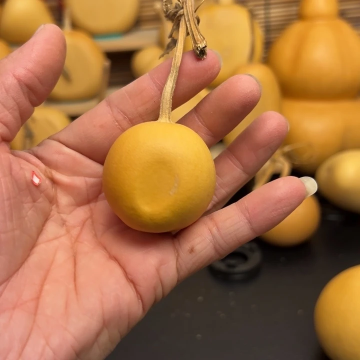 一*呀2266556665655