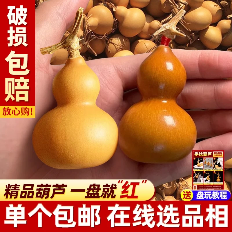 手捻小葫芦绕指柔手把件手盘龙头周正胖墩手盘小葫芦文玩葫芦