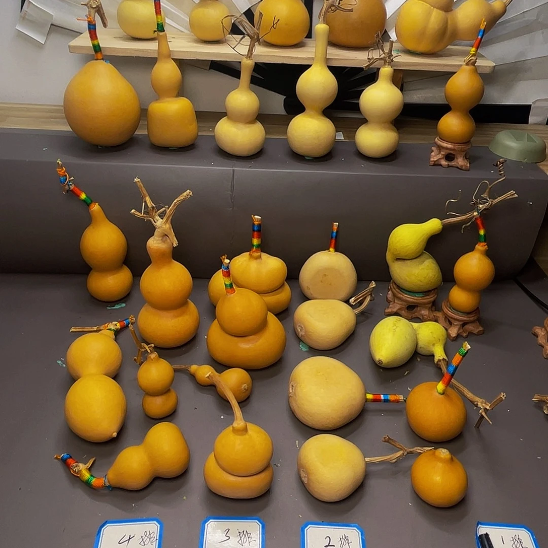 木弓背蚂蚁一个很好