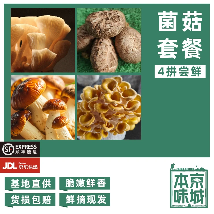 房【菌菇套餐】4拼套装2.2斤榆黄菇/香菇/松茸/灰平菇 蘑菇开会 鲜香滑嫩新鲜香菇