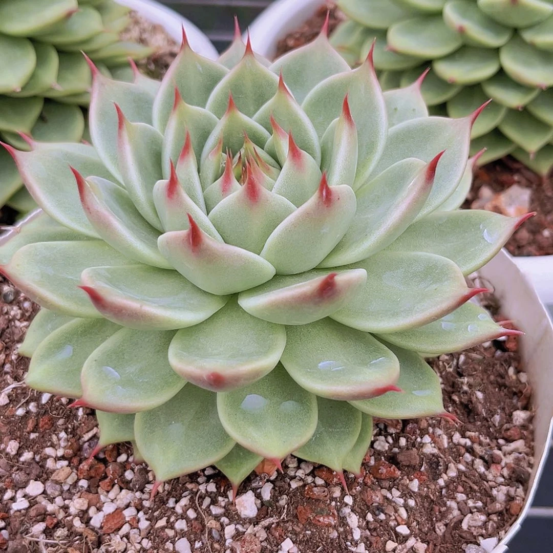 30号98888999999988888