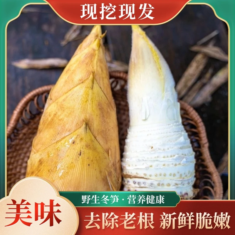 临安冬笋新鲜现挖浙江天目山带壳笋黄泥笋蔬菜