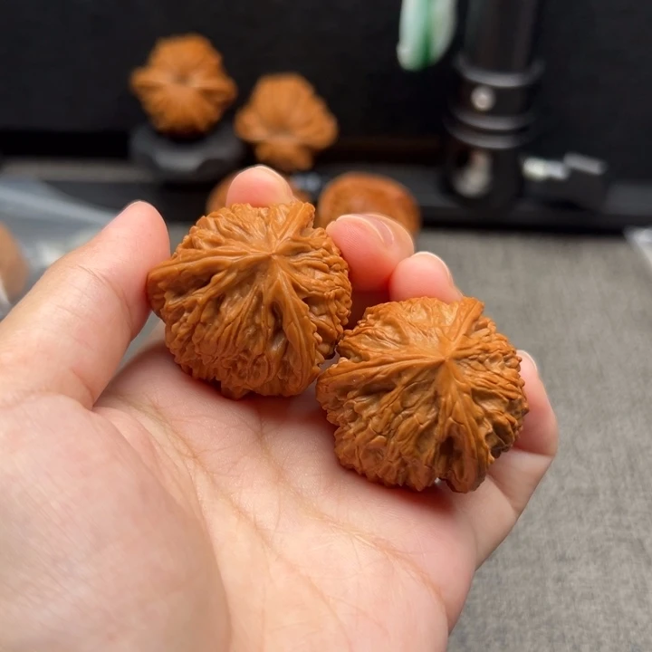 文玩核桃御龙粗筋三棱