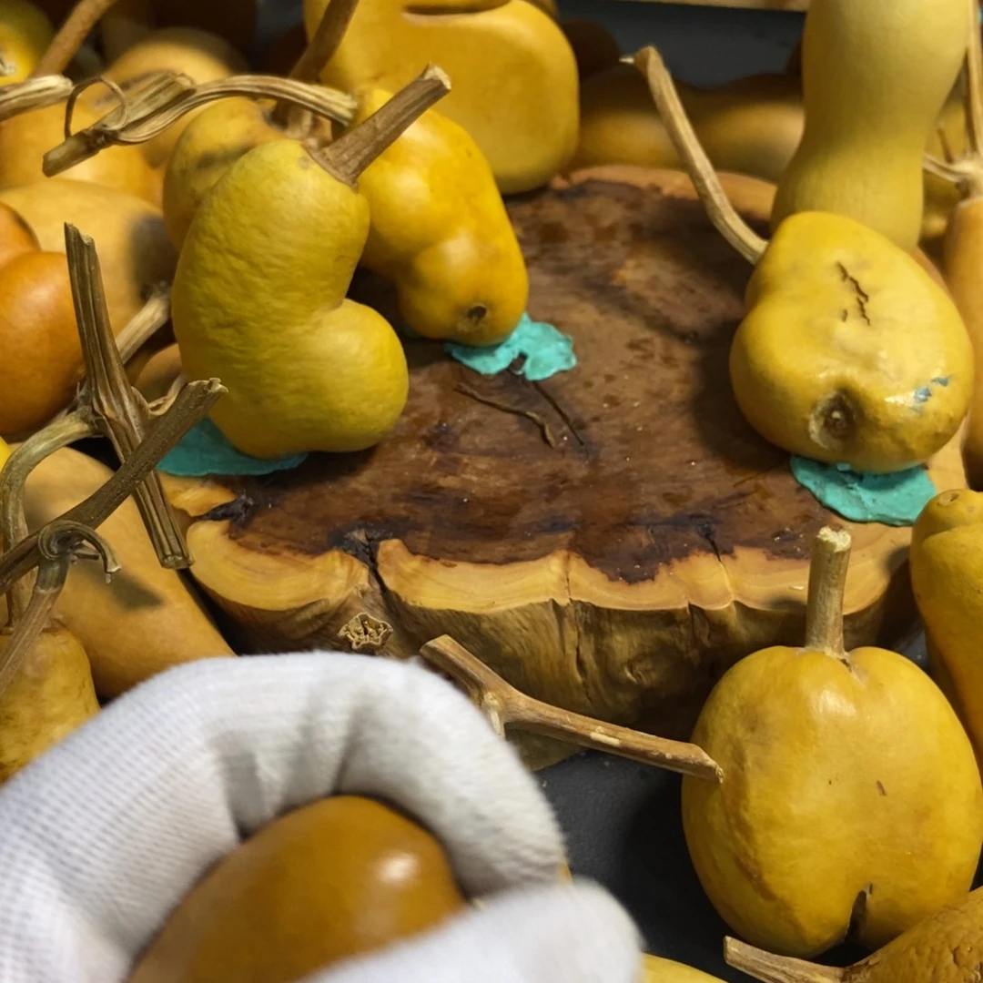 白*哥葫芦葫芦真的