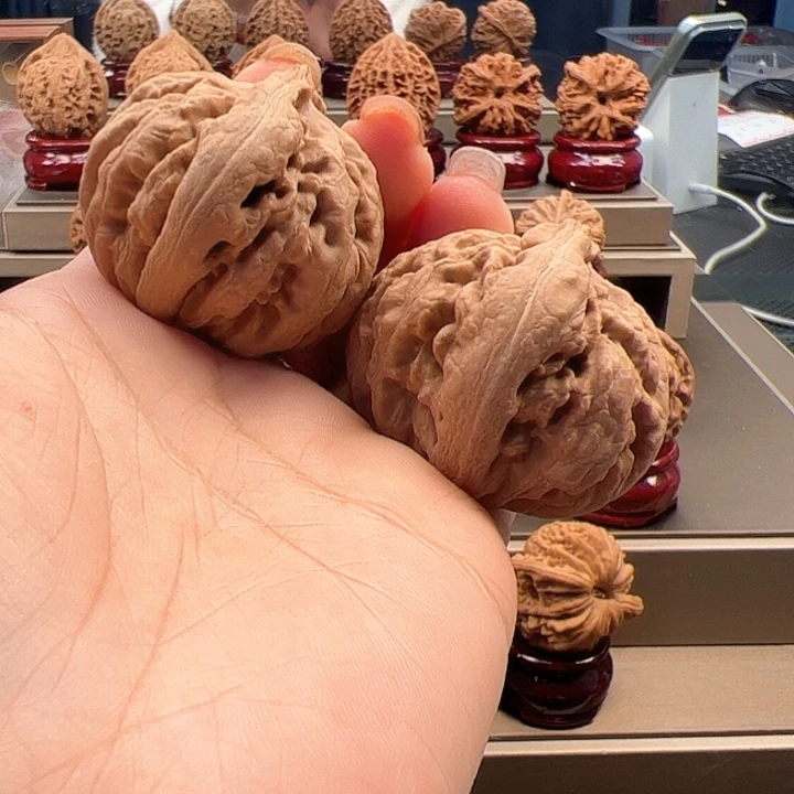 文玩核桃把件41 霸王龙 m-016