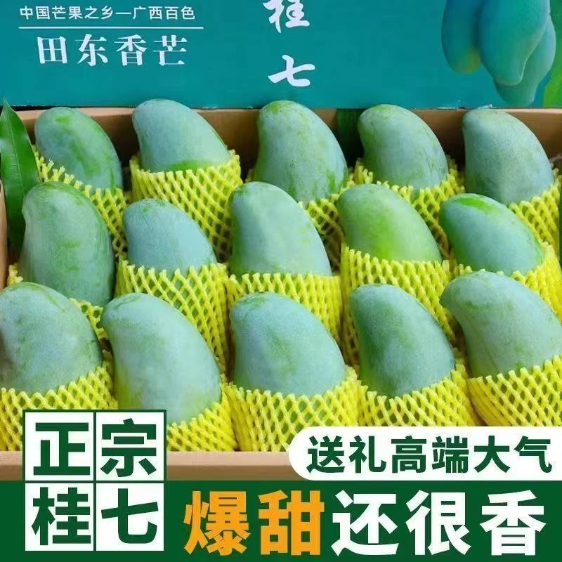 正宗广西桂七新鲜采摘台农广西产地芒果广西百色