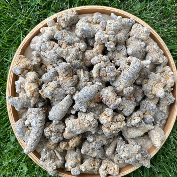 【杨老妹】山货 三七250克农产品