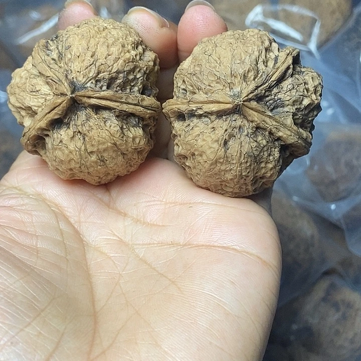 文玩核桃把件云南铁核桃基地51