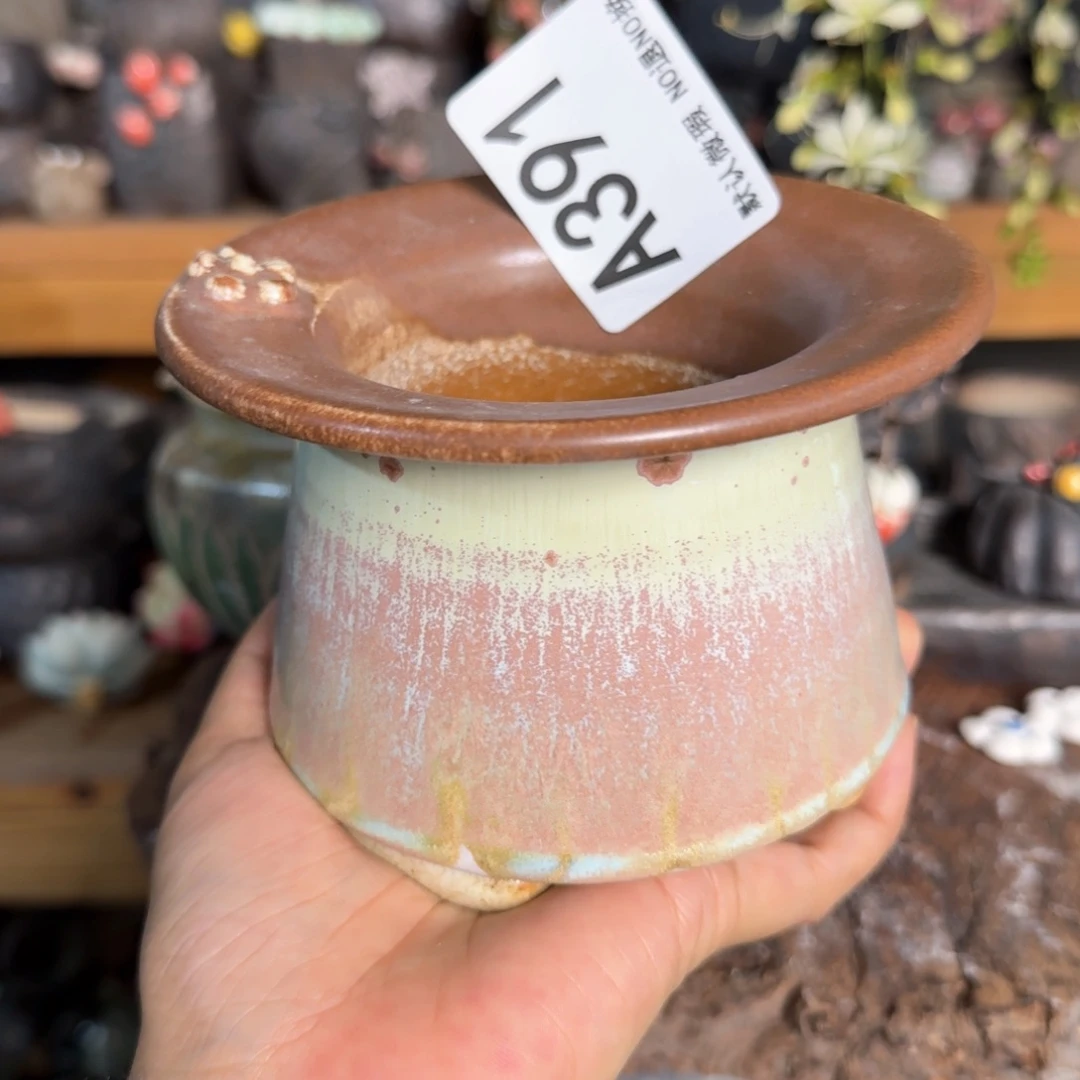 重庆小燕子欢迎大家391