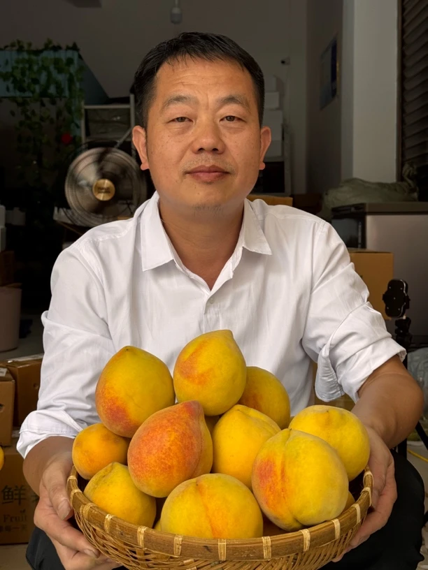 溆浦阿政助农新鲜现摘现发黄桃顺丰包邮
