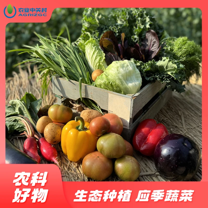农科好物蔬菜组合 生态种植蔬菜