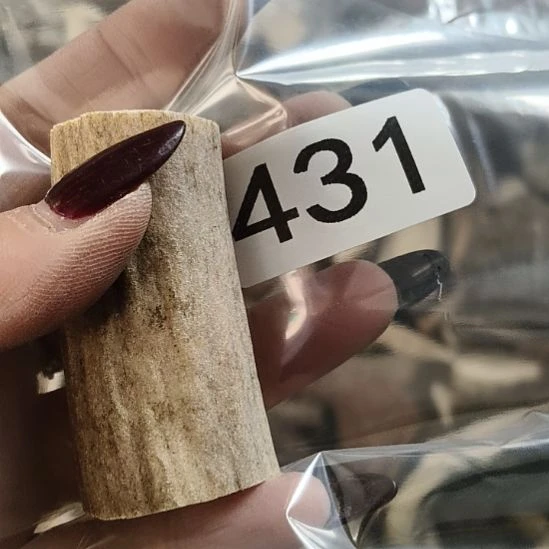 x***x鹿角鹿角鹿角鹿角鹿角鹿角