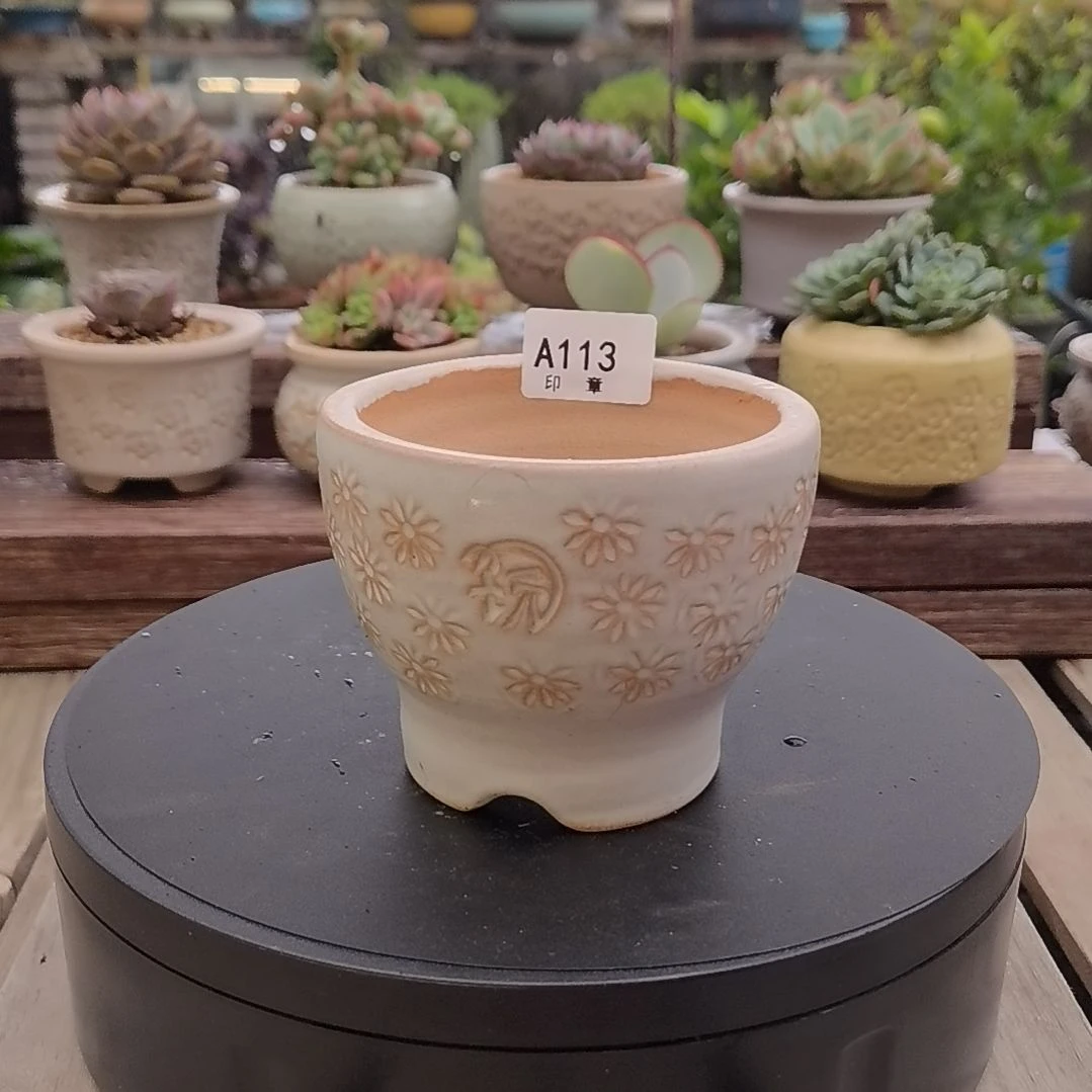 印章多肉花盆A113