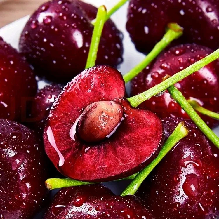 山东美早大樱桃新鲜采摘脆甜多汁2-5斤J-4J空运水果 内附果径卡