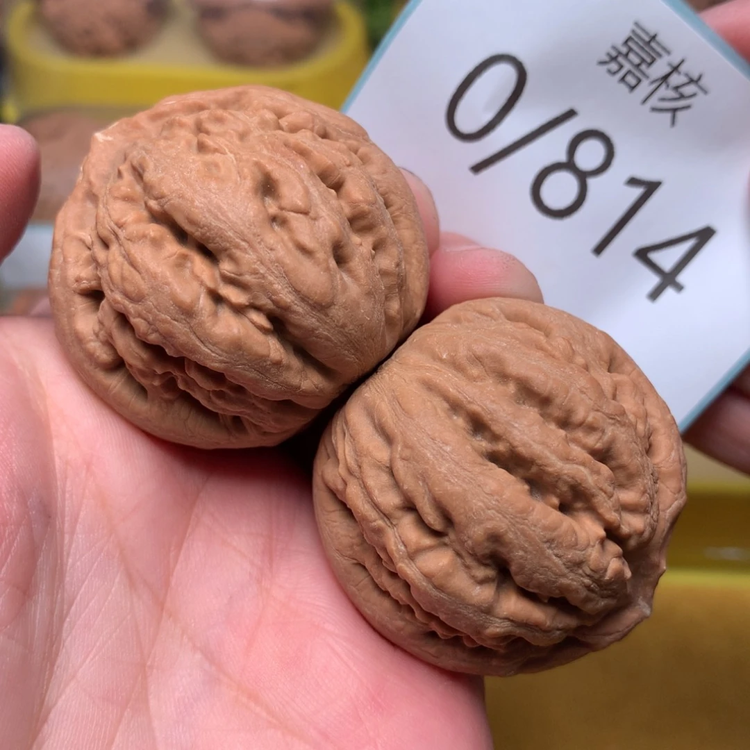 文玩核桃把件肉球霸王龙39