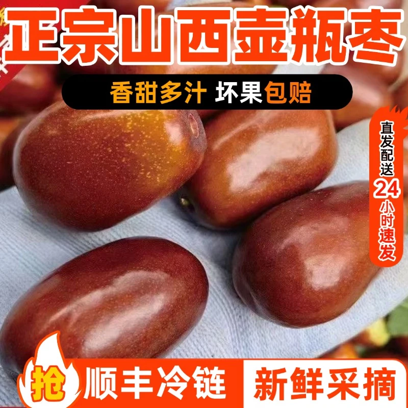 现摘现发山西壶瓶枣鲜枣，新鲜大枣非冬枣，山西大红枣顺丰京东包邮