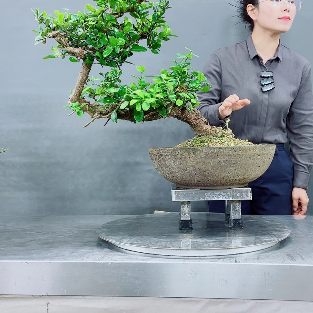 无铅玻璃岭南文化艺术学院