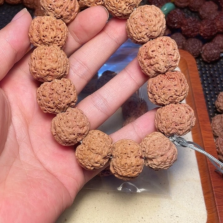 金刚菩提吊坠?****·尼泊尔大金刚菩提