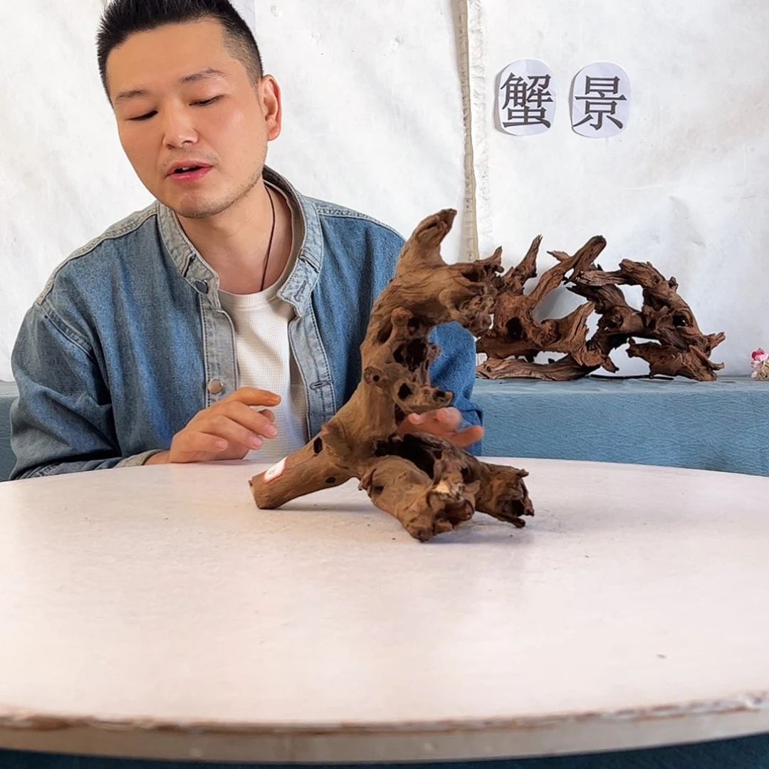 沉木造景爬宠造景