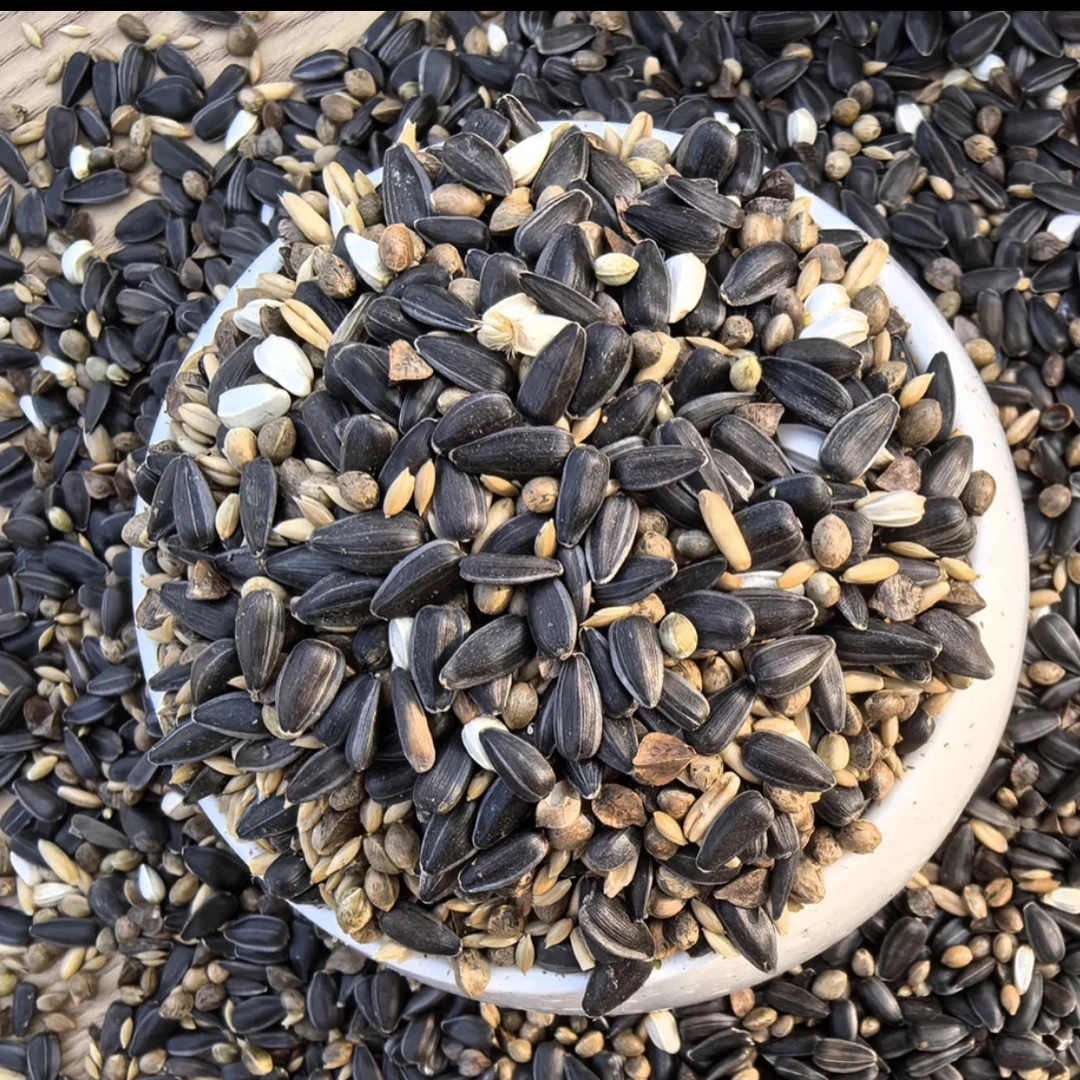 种子粮黑珍珠小瓜子鸟粮鹦鹉混合粮小太阳和尚金太阳（850克）