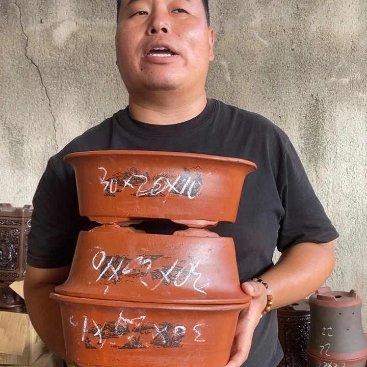 紫砂花盆盆栽花卉苗木种植