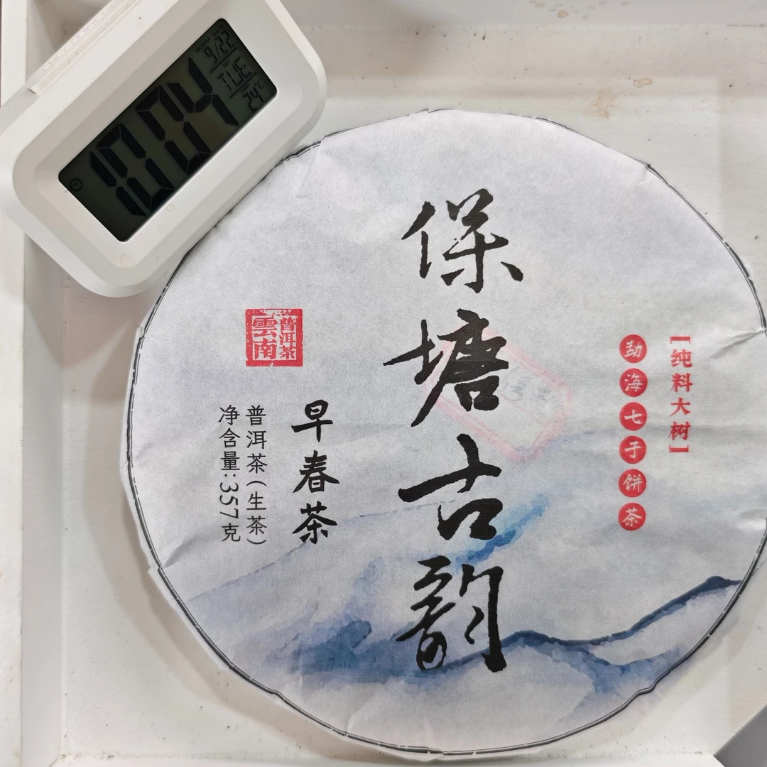 2023年 保塘 大树春茶 生茶饼茶357g 9月22日 【003】