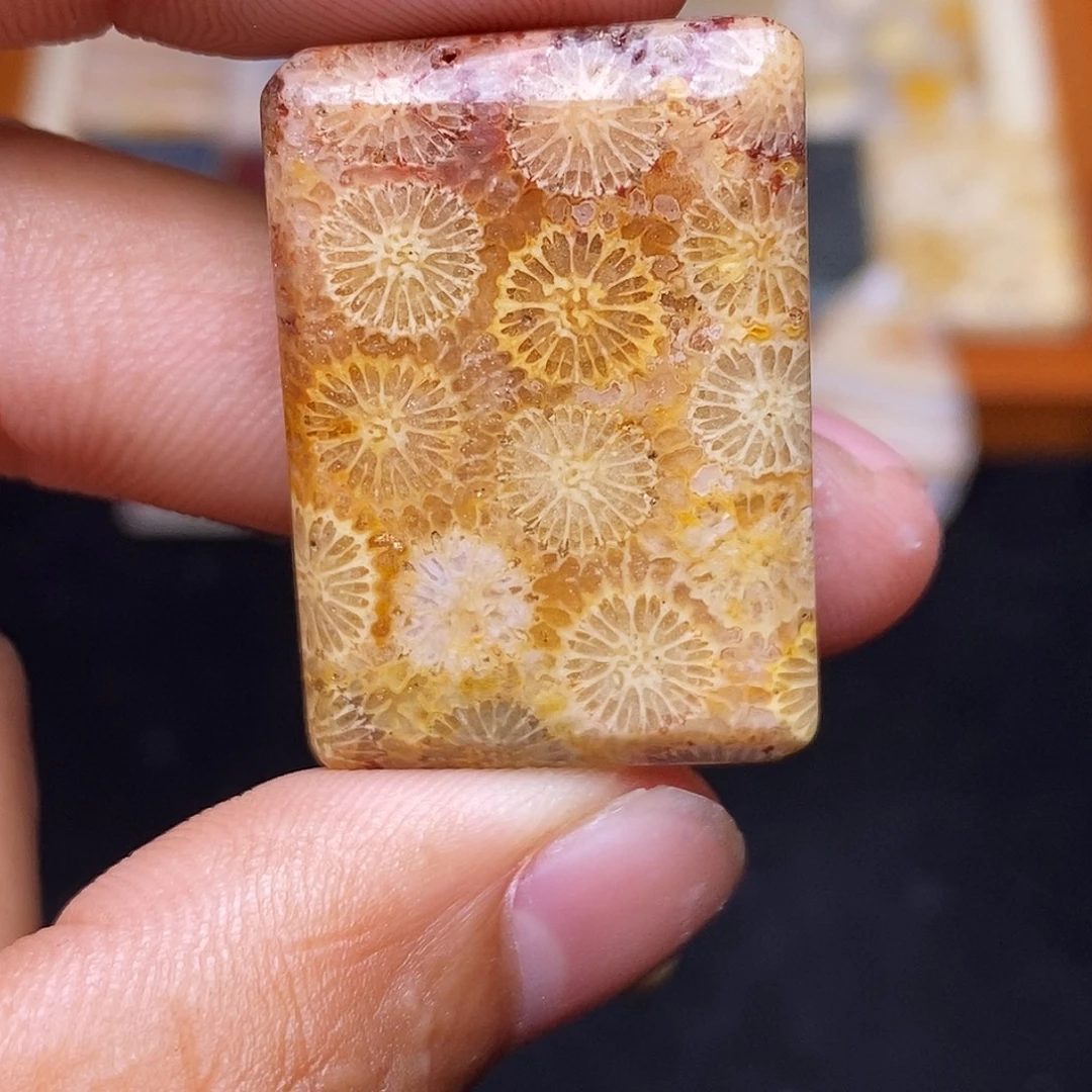 O***g合金珊瑚玉硅化玉