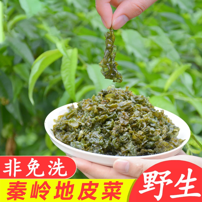 秦岭野生地皮菜干货新鲜地软菜天然地木耳地达菜地衣地曲莲非免洗