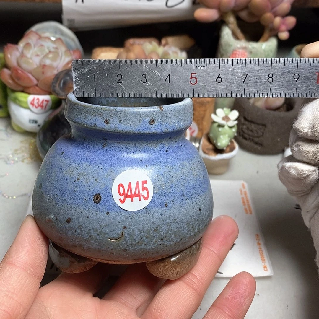 红陶处理的，处理