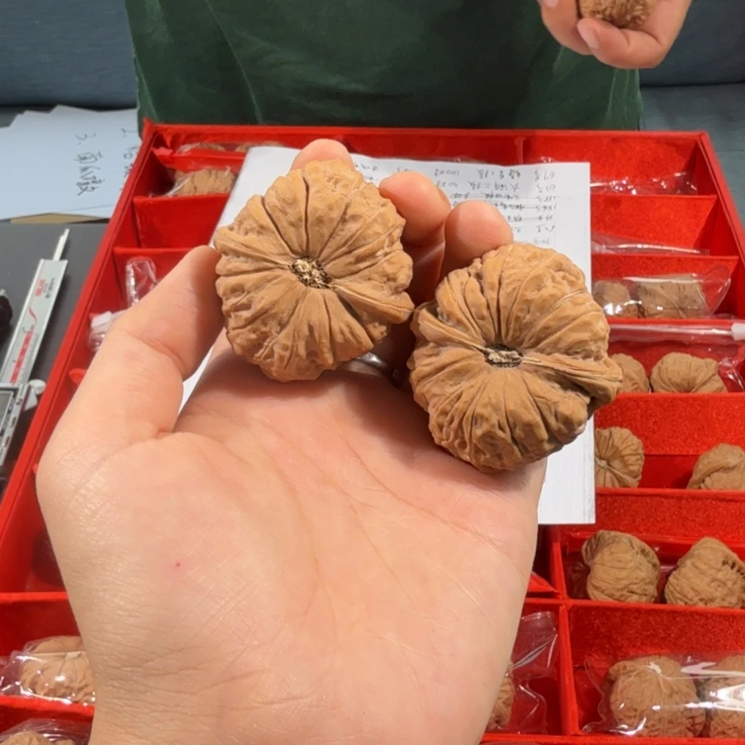 文玩核桃把件246号41mm全品南瓜墩