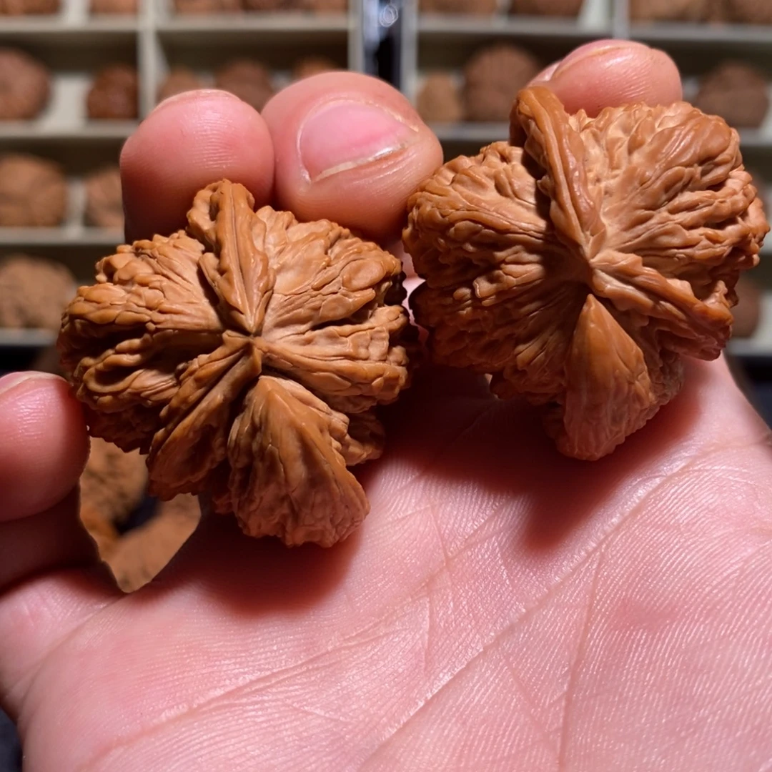 把件文玩核桃白狮子牛