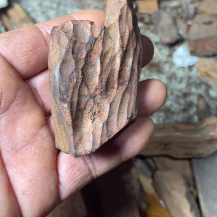 海南黄花梨零零零零零