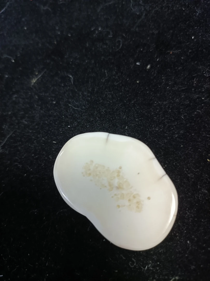 猛犸猛犸虬饼子WW520