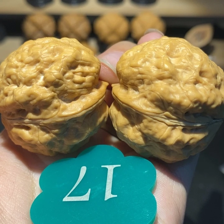 核桃盘龙十八包37核桃尺寸