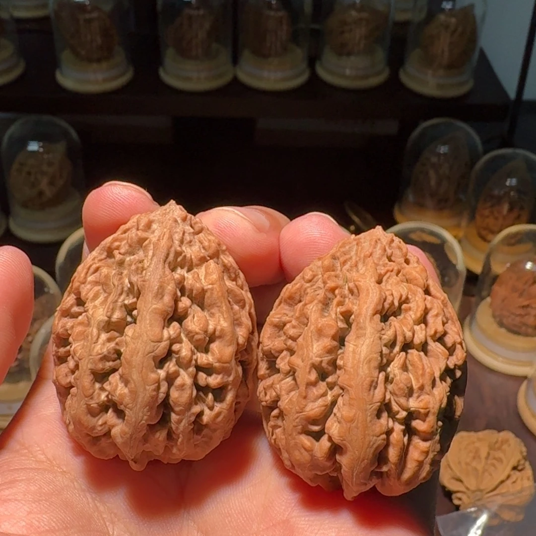 文玩核桃把件豆粒纹