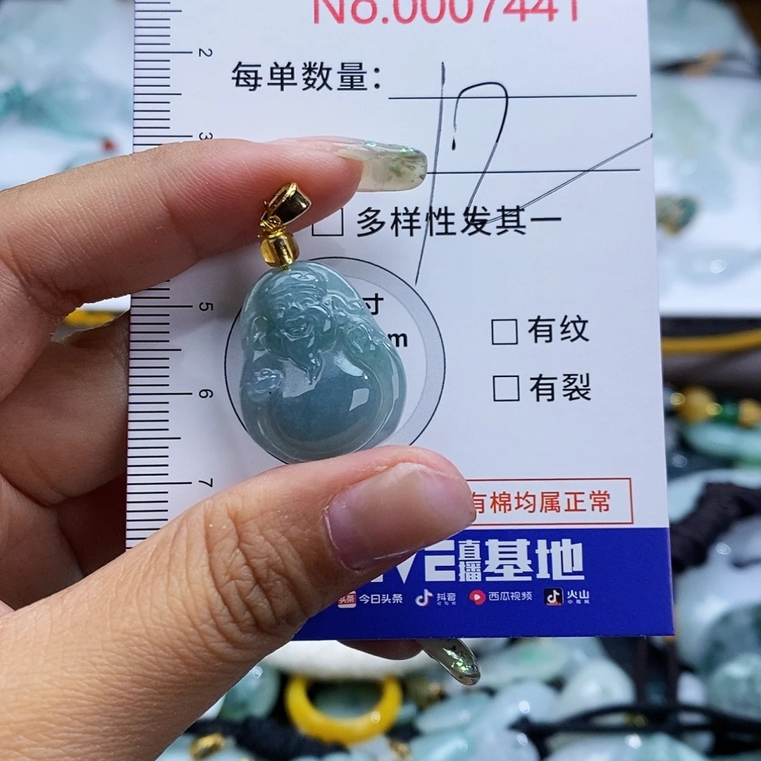 翡翠未镶嵌颈饰7441