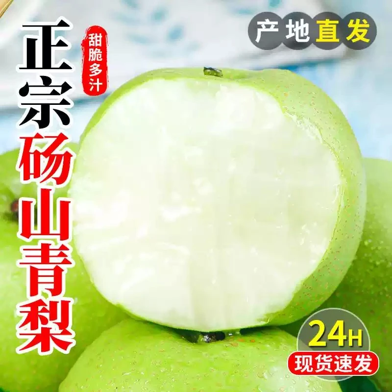 砀山正宗皇冠梨青皮梨新鲜水果脆甜多汁无渣甘甜爽口