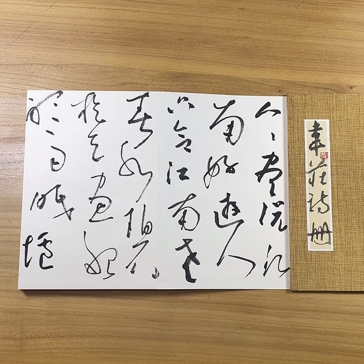 书法中书协会员作品