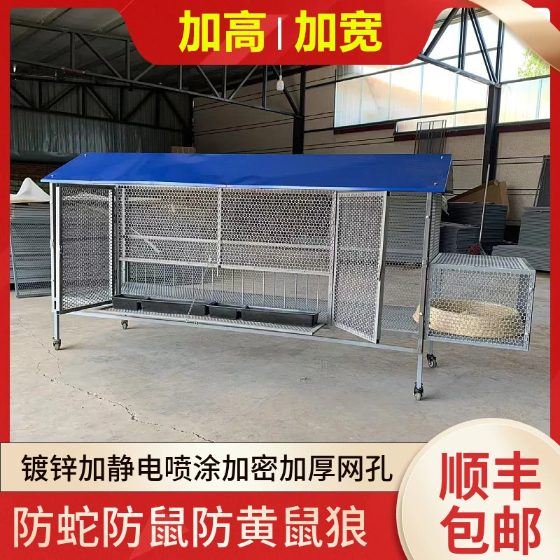 尖顶加蛋筐鸡笼鸽笼加密孔防黄鼠狼防老鼠不生锈鸡笼养殖笼笼外捡