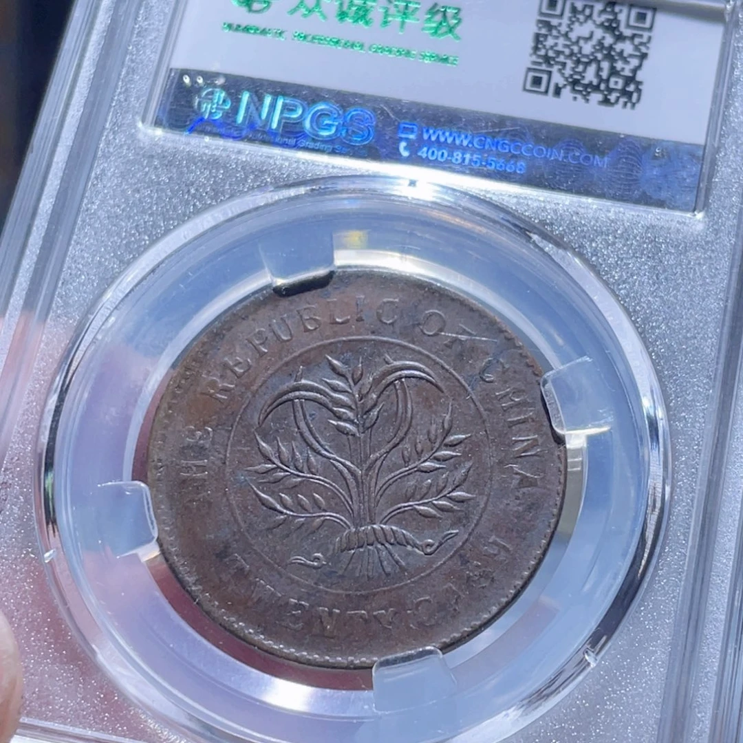 铜通古博今250926范范4912