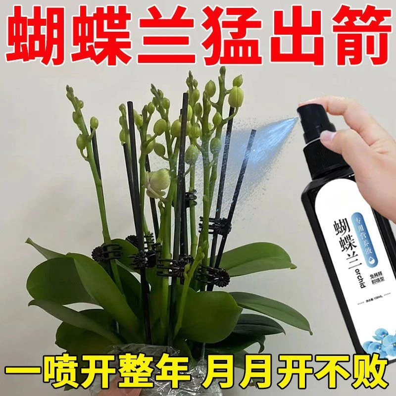 蝴蝶兰专用肥病菌兰花营养液君子兰促开花植物营养液微量元素生长