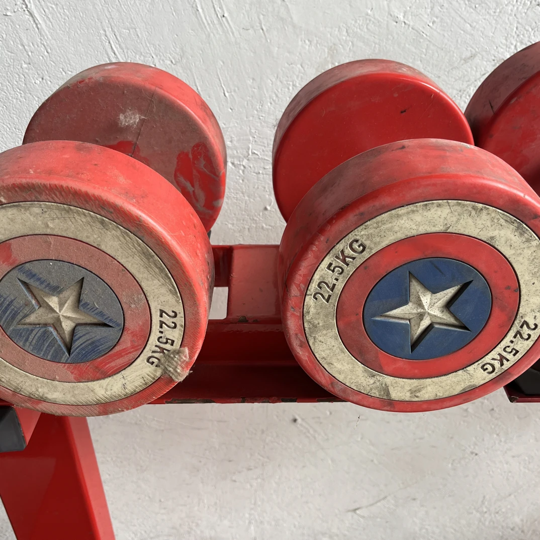 22.5kg哑铃一对有明显使用痕迹能接受再拍