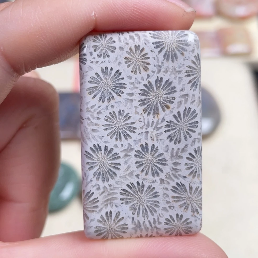 【闪购商品】未镶嵌吊坠(赠链)硅化玉